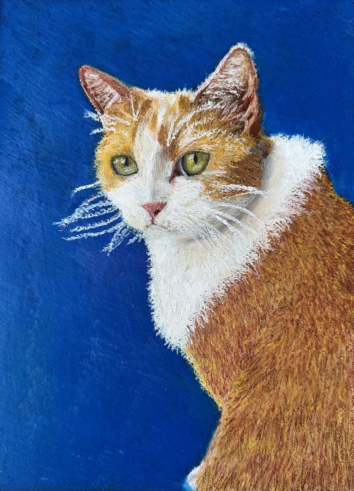Bear — Oil Pastel painting by Kelly Laura.