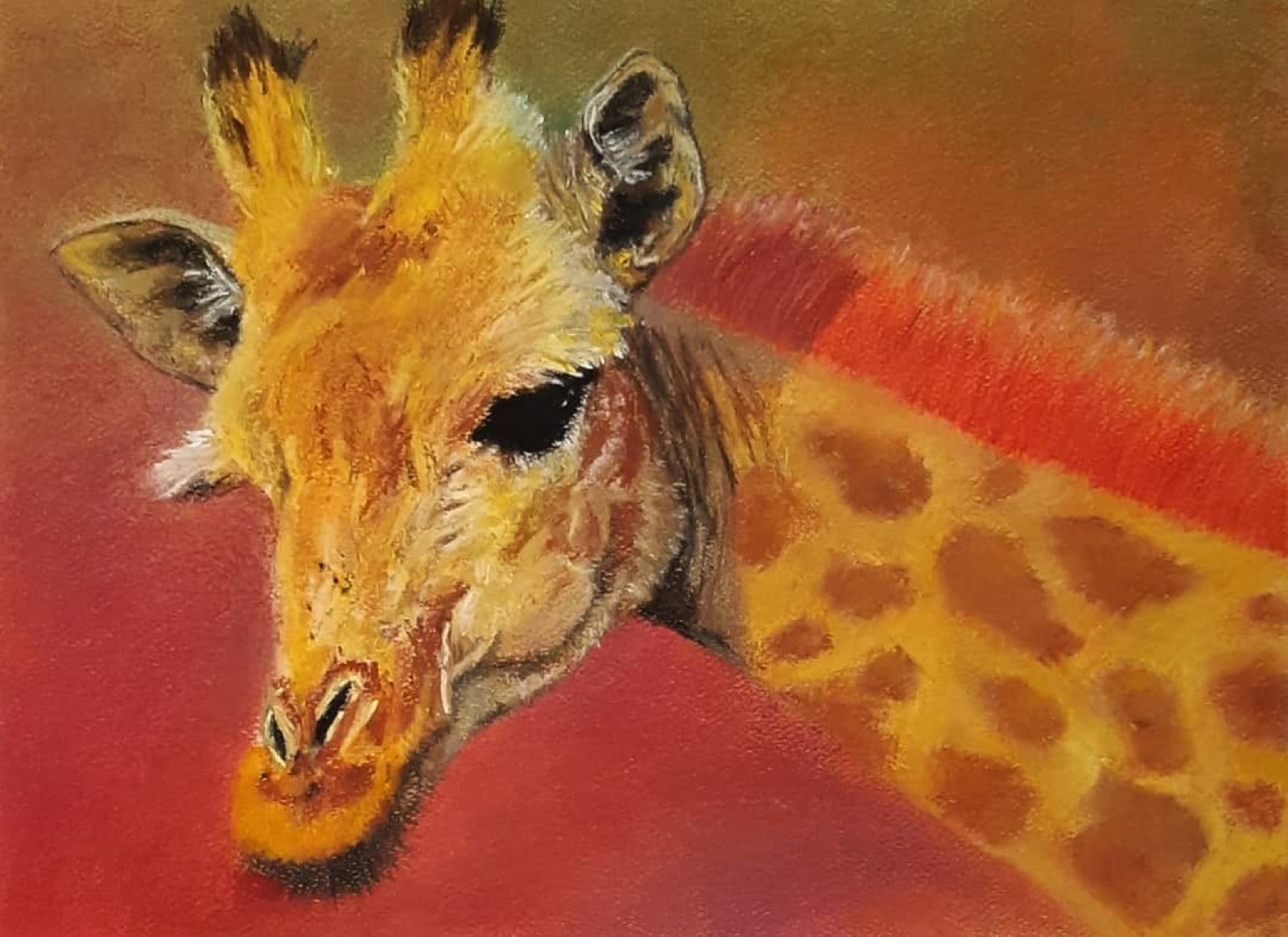 Giraffe! — Soft Pastel painting by Kelly Laura.