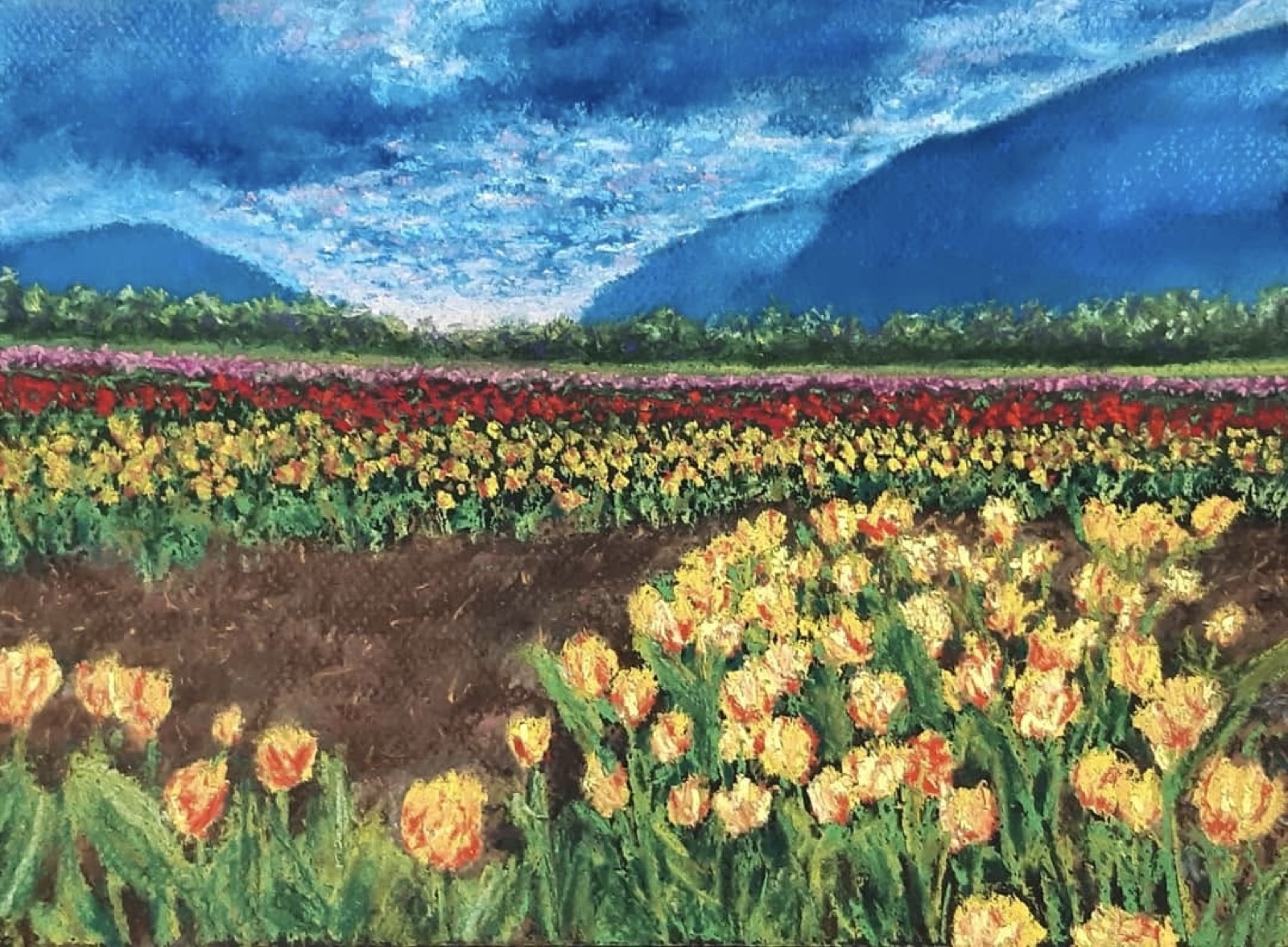Tulip Fields — painting by Kelly Laura.