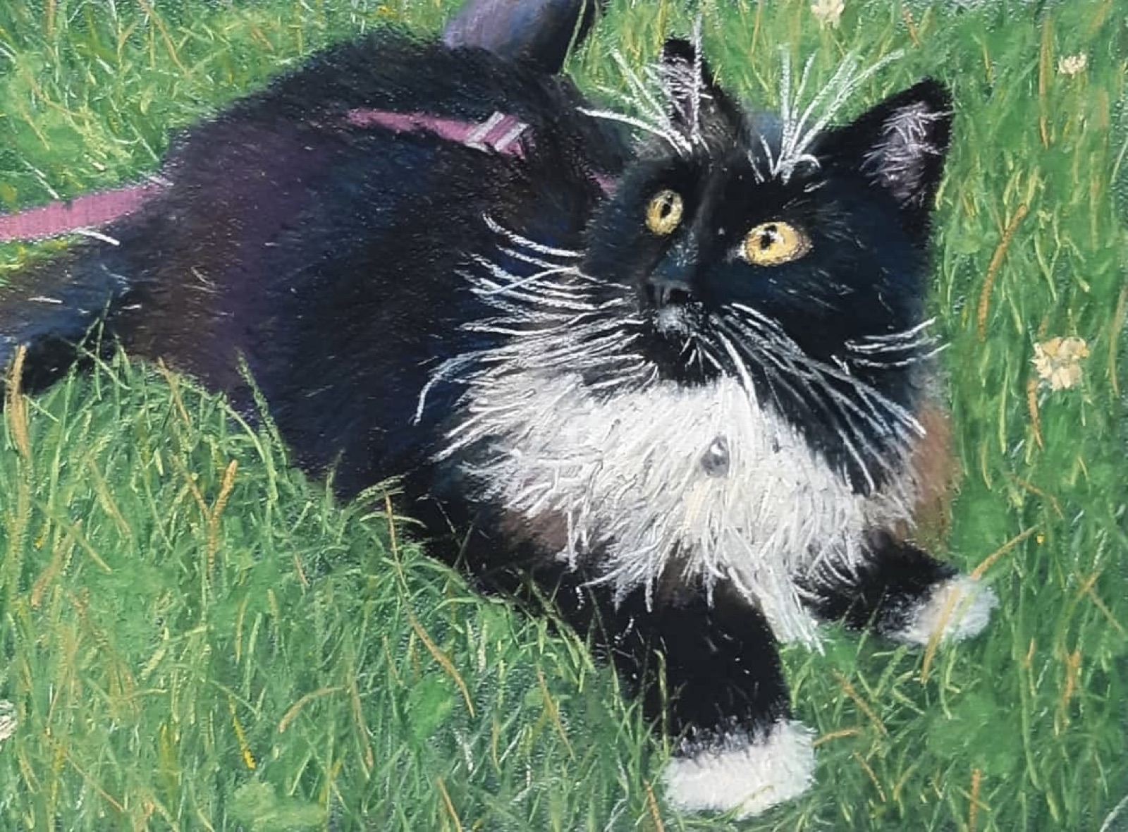 Tuxedo — painting by Kelly Laura.
